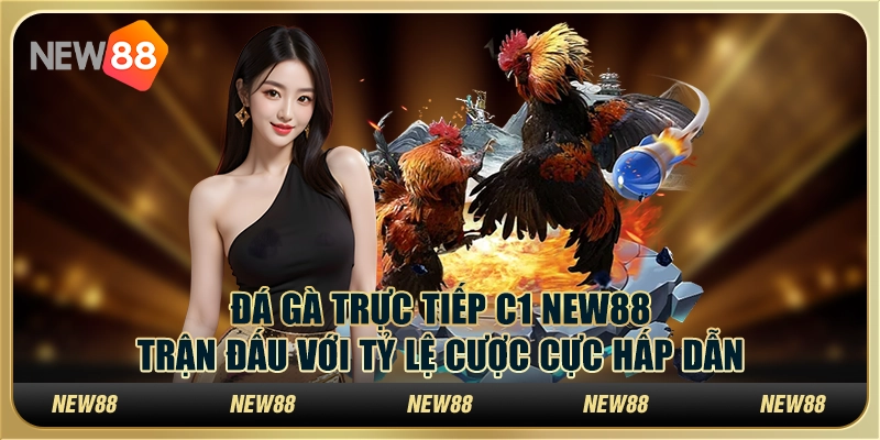 Đá gà trực tiếp C1 New88: Trận đấu với tỷ lệ cược cực hấp dẫn